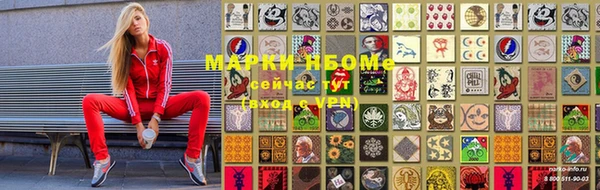 гашик Иннополис
